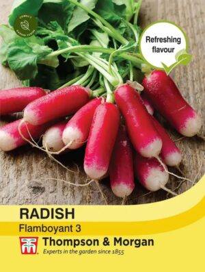 Thompson & Morgan Radish Flamboyant Sabina Seeds