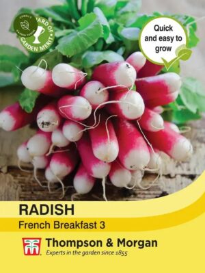 Thompson & Morgan Radish French Breakfast 3 Seeds