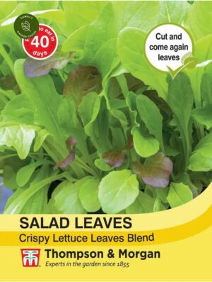 Thompson & Morgan Salad Leaves Crispy Blend Seeds