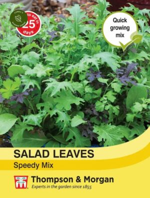 Thompson & Morgan Salad Leaves Speedy Mix Seeds