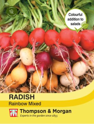 Thompson Radish Rainbow Mixed Seeds
