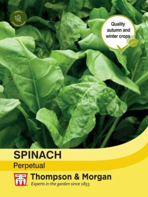 Thompson & Morgan Spinach Perpetual Seeds