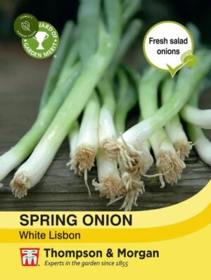 Thompson & Morgan Spring Onion White Lisbon Seeds
