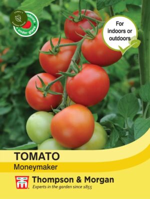 Thompson & Morgan Tomato Moneymaker Seeds