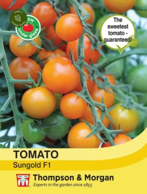 Thompson & Morgan Tomato Sungold Seeds