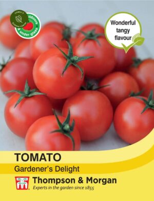 Thompson & Morgan Tomato Gardener’s Delight Seeds