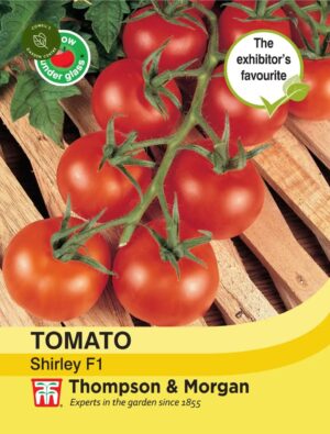 Thompson & Morgan Tomato Shirley Seeds