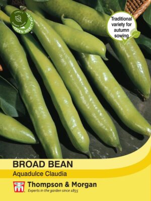 Thompson & Morgan Broad Bean Aquadulce Claudia Seeds