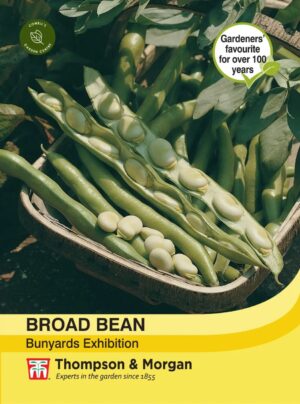 Thompson & Morgan Broad Bean Bunyards Exhibition Seeds