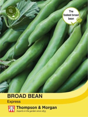 Thompson & Morgan Broad Bean Express Seeds