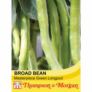 Thompson & Morgan Broad Bean Materpiece Longpod Seeds
