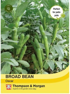 Thompson & Morgan Broan Bean Oscar Seeds