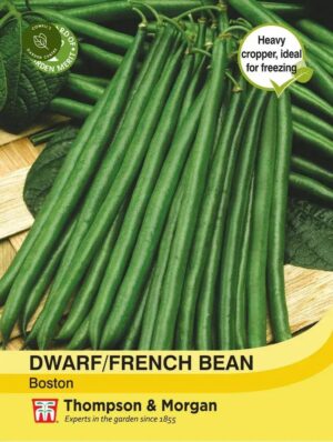 Thompson & Morgan Dwarf Bean Boston Seeds