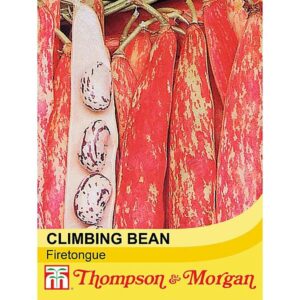 Thompson & Morgan Climbing Bean Borlotto Ling Seeds