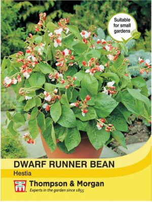 Thompson & Morgan Dwarf Runner Bean Hestia