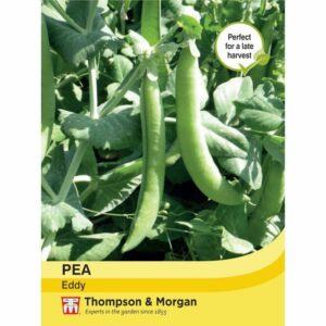 Thompson & Morgan Pea Eddy Seeds