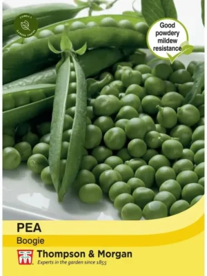 Thompson & Morgan Pea Boogie Seeds