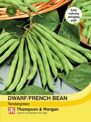 Thompson & Morgan Dwarf Bean Tendergreen Seeds