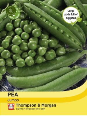 Thompson & Morgan Pea Jumbo Seeds