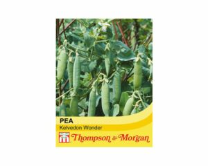 Thompson & Morgan Pea Kelvedon Wonder Seeds
