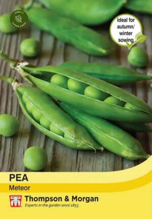 Thompson & Morgan Pea Meteor Seeds