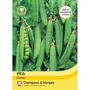 Thompson & Morgan Pea Rondo Seeds