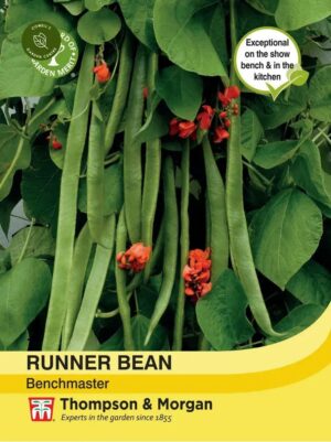 Thompson & Morgan Runner Bean Benchmaster Seeds