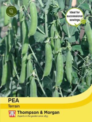 Thompson & Morgan Pea Terrain Seeds