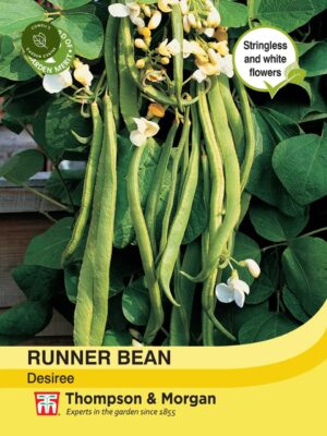 Thompson & Morgan Runner Bean Desiree Seeds