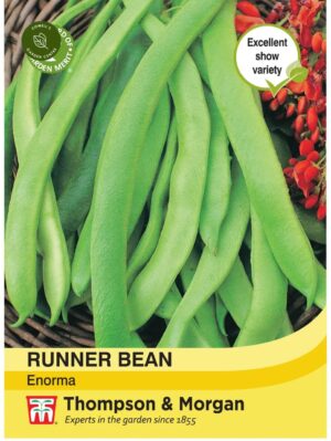Thompson & Morgan Runner Bean Enorma Seeds