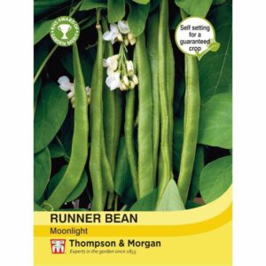 Thompson & Morgan Runner Bean Moonlight Seeds