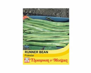 Thompson & Morgan Runner Bean Polestar Seeds