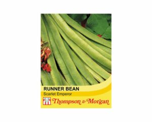 Thompson & Morgan Runner Bean scarlet Emperor Seeds