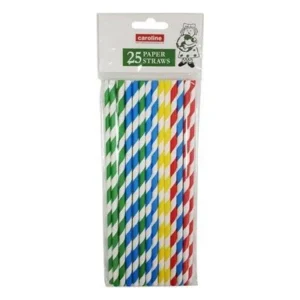 Multi Colour Striped Paper Straws x 25