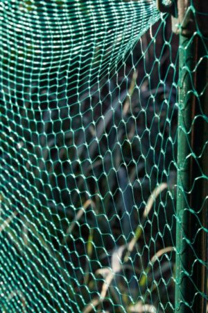 Ambassador 6m x 4m Garden Net Green