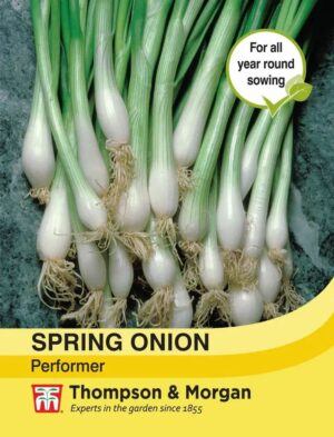 Thompson & Morgan Spring Onion Performer Seeds