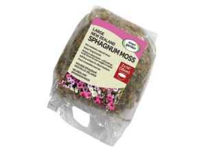 New Zealand Sphagnum Moss
