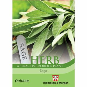Thompson & Morgan Sage Seeds