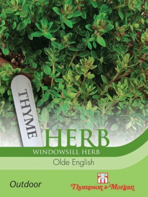 Thompson & Morgan Thyme Olde English Seeds