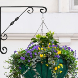 Ornamental Scroll Bracket Black