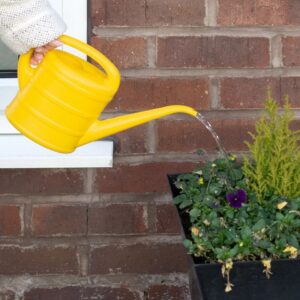 Yellow 1L Watering Can