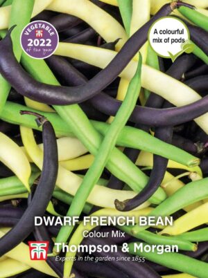 Thompsona & Morgan Dwarf French Bean Colour Mix