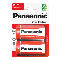 Panasonic D Batteries x2