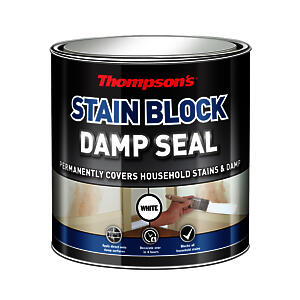 Thompsons Stain Damp Seal White 750ml