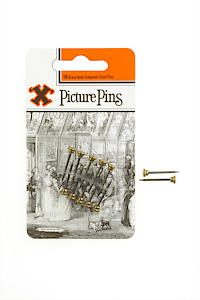 X Brass Headed Pins x 10