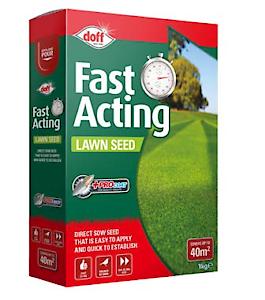 Fast Growing Lawn Seed 1kg